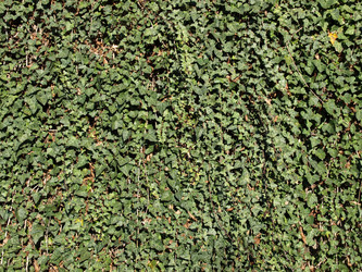 Similar image 1356347