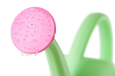 Similar image 1356414