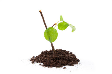 Similar image 1356415