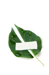 Similar image 1356417