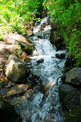 Similar image 1356444