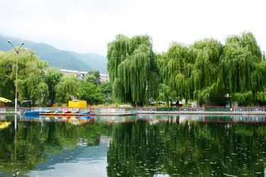 Similar image 1356527