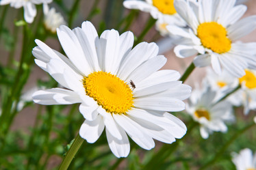 Similar image 1356927