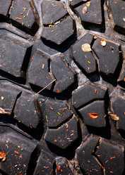 Similar image 1356947