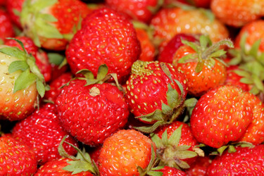 Similar image 1356974