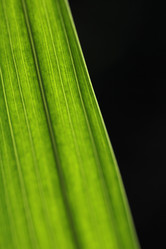 Similar image 1356977