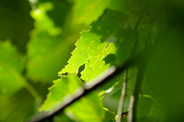 Similar image 1356978