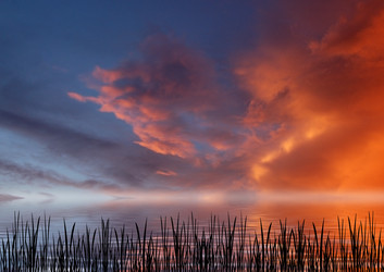 Similar image 1356991