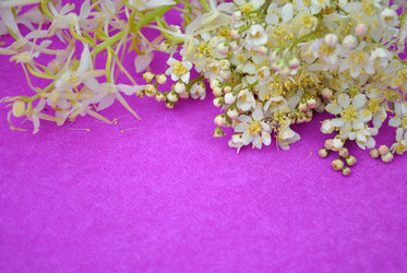 Similar image 1357052