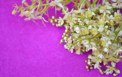 Similar image 1357053