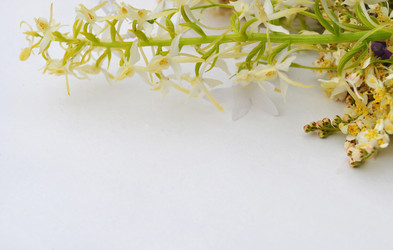 Similar image 1357055