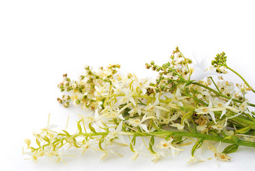 Similar image 1357056