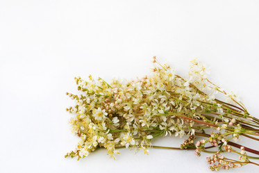 Similar image 1357057