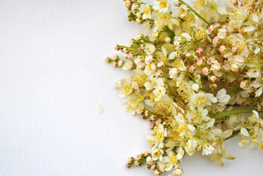 Similar image 1357058