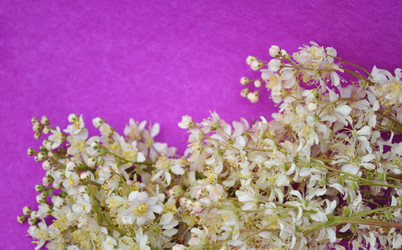 Similar image 1357059