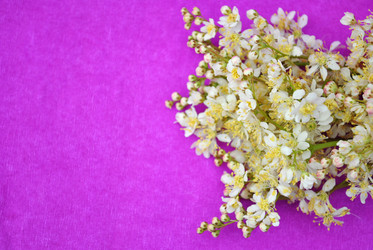 Similar image 1357060