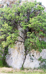 Similar image 1357089