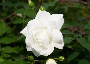 Similar image 1357096