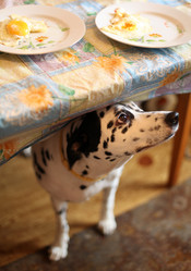 Similar image 1357582