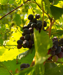 Similar image 1357590