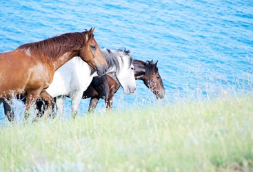 Similar image 1357602