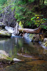 Similar image 1357671