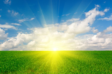 Similar image 1358000