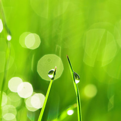 Similar image 1358221