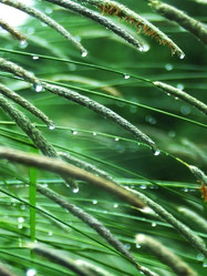 Similar image 1358227