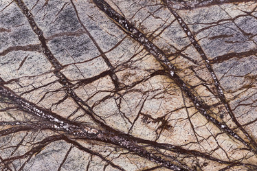 Similar image 1358229