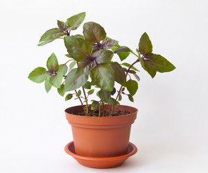 Similar image 1358232