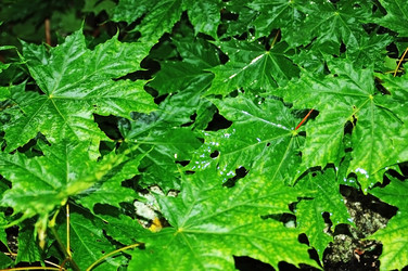 Similar image 1358308