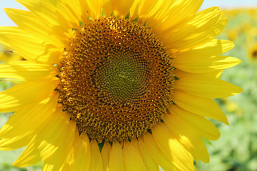 Similar image 1358317