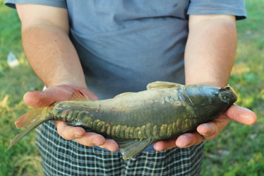 Similar image 1358319