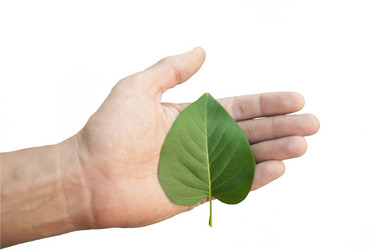 Similar image 1358351