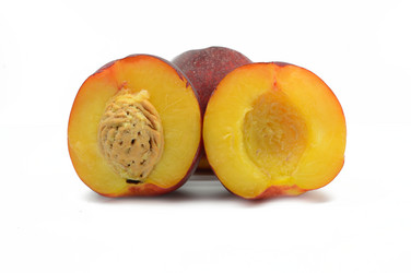 Similar image 1358359