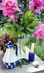 Similar image 1358482