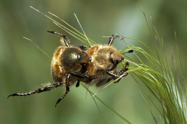 Similar image 1358508