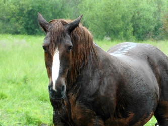 Similar image 1358509