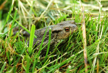 Similar image 1358972