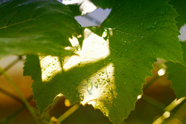 Similar image 1358974