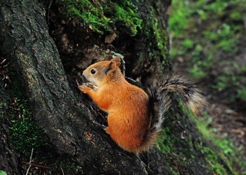 Similar image 1358983