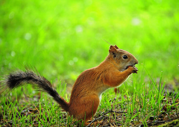 Similar image 1358984