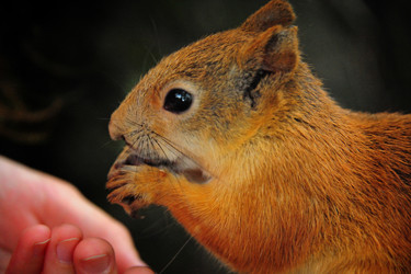 Similar image 1358985