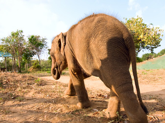 Similar image 1358996