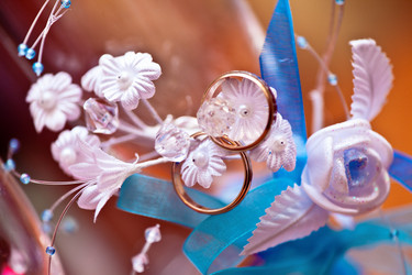 Similar image 1359039