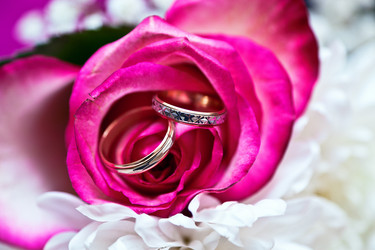 Similar image 1359040