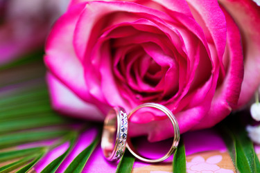 Similar image 1359041