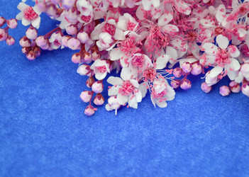 Similar image 1359056