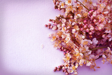 Similar image 1359057